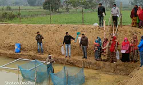 Budget gives big push to fisheries sector with 54 per cent hike in outlay