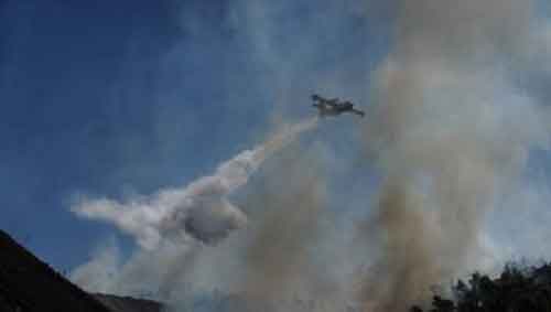 EU mobilizes support to combat wildfires across southern Europe