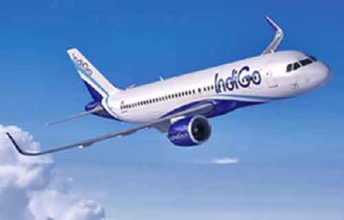 Indigo’s net profit drops 11.7 pc to Rs 2,728 cr in Q1, revenue up 17.3 pc