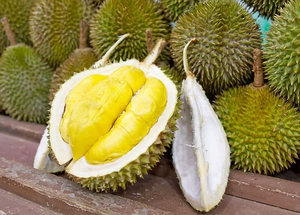 Vietnam’s official calls for positioning durian as national product