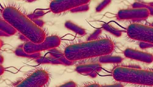 Confirmed cases of Legionnaires’ disease soar up to 60 in Melbourne
