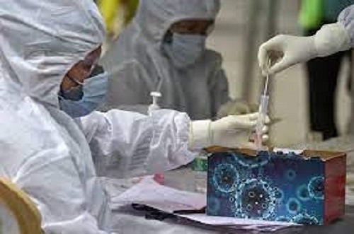 India reported 908 new Covid cases, 2 deaths between June and July: WHO