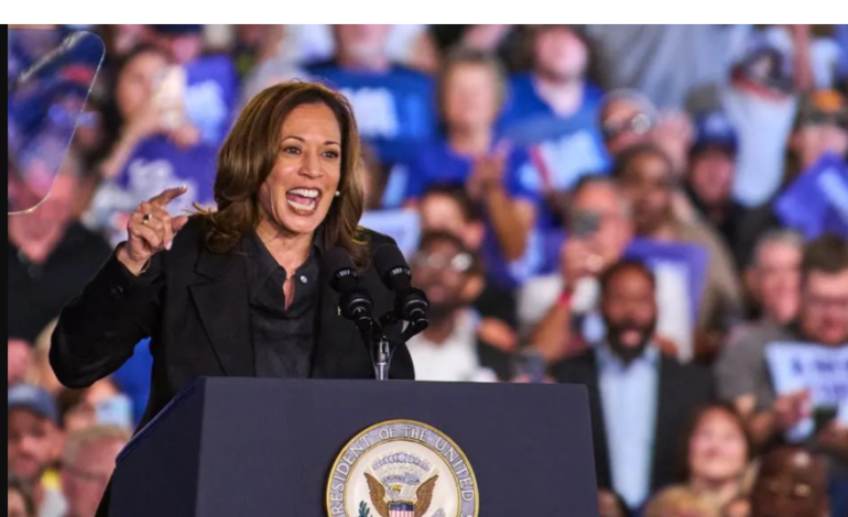 US Pro-Palestinian Group Declines to Endorse Harris Over Israel-Hamas War Concerns