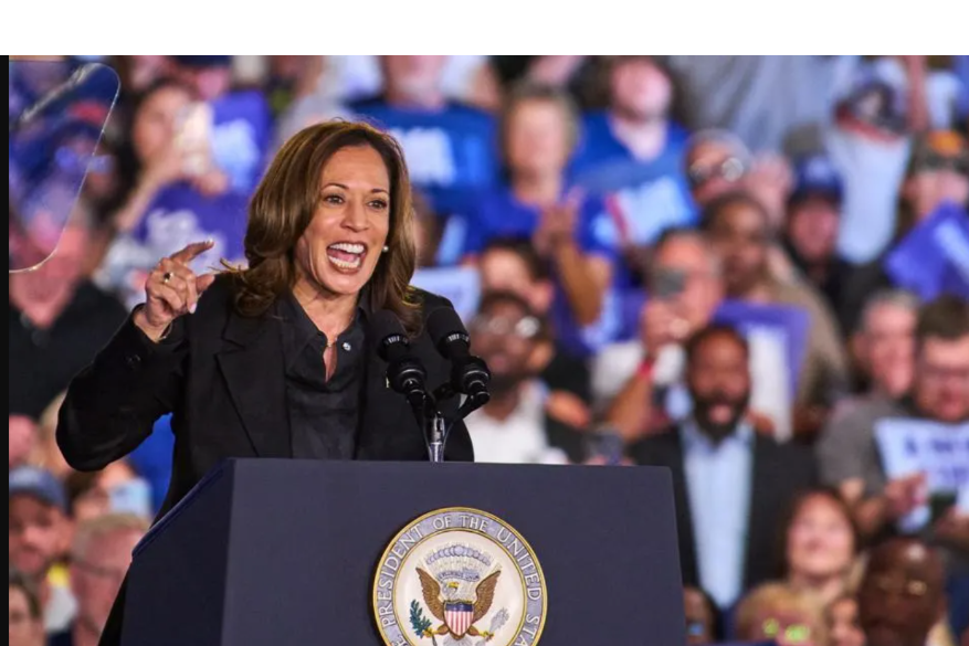 US Pro-Palestinian Group Declines to Endorse Harris Over Israel-Hamas War Concerns