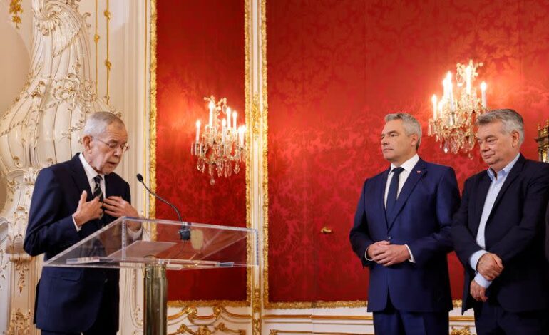 Austrian President Urges Calm in Coalition Talks Following Far-Right Election Victory