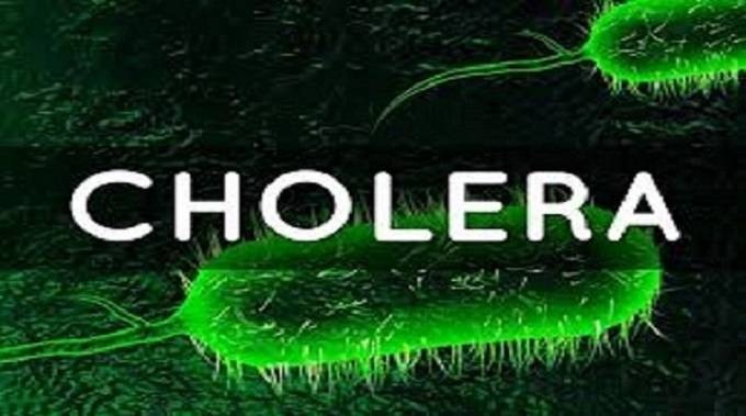 Cholera Outbreak in Nigeria Claims 359 Lives as Cases Exceed 10,000