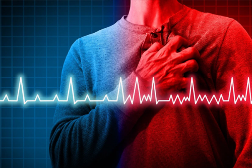 Rising Cardiac Arrests: A Call for Young India to Embrace Healthier Lifestyles