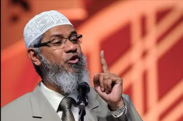 Pakistanis Demand No Further Invitations for Zakir Naik After Controversial Remarks