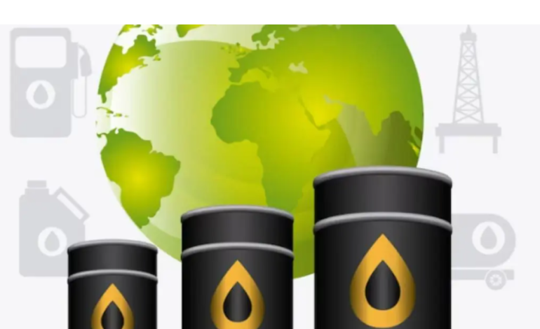 Experts Advocate for Lower Petrol and Diesel Consumption to Achieve Sustainable Transportation in India