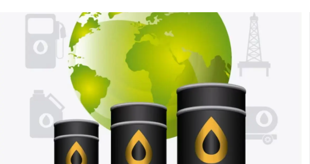 Experts Advocate for Lower Petrol and Diesel Consumption to Achieve Sustainable Transportation in India