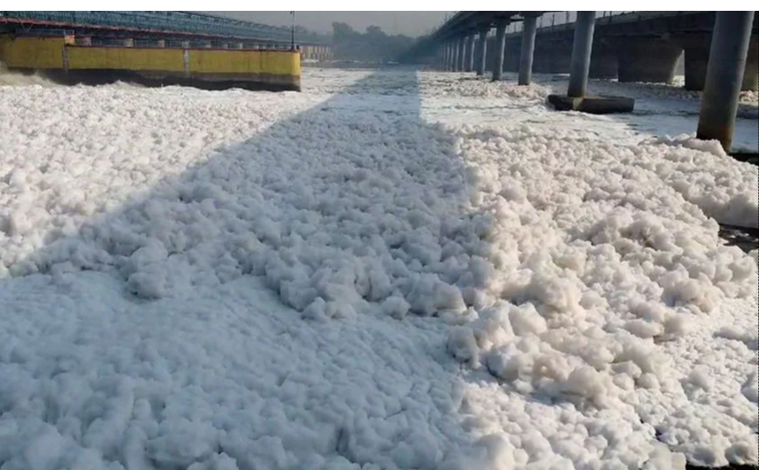 Delhi BJP President Criticizes AAP Government Over Air Pollution and Yamuna Foam