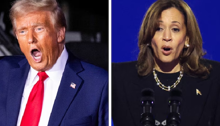 How are US polls conducted? Will Trump win again or will Harris script history?