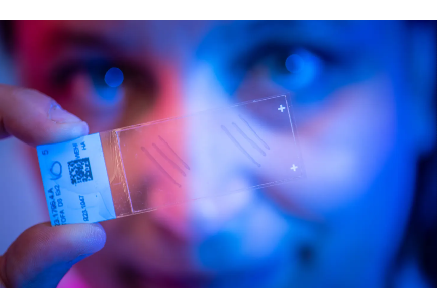 Australian-German research finds world-first cure for deadly skin disease