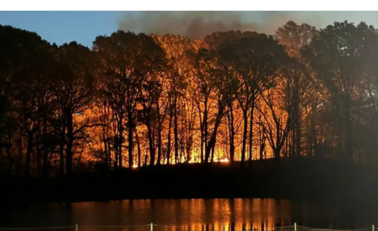 Teenage park ranger killed in US wildfire