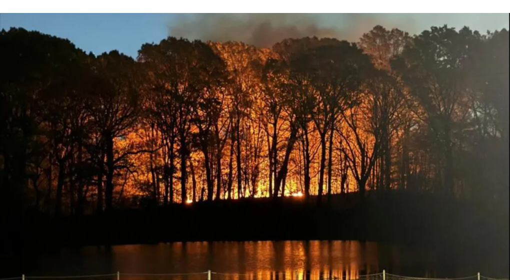 Teenage park ranger killed in US wildfire