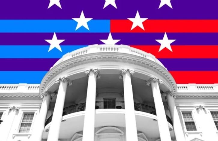 When will the 2024 presidential election results be announced?