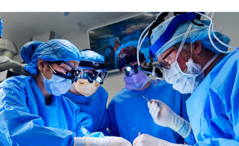 US surgeons complete fifth gene-edited pig organ transplant