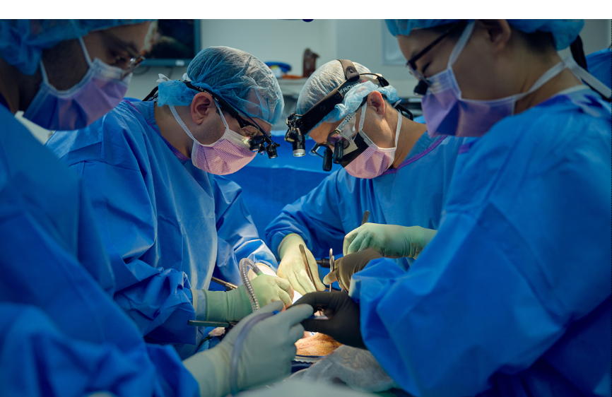 A breakthrough in organ transplants – Gene-edited pig kidney gives new hope