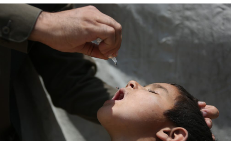 Afghanistan launches 3-day anti-polio vaccination campaign