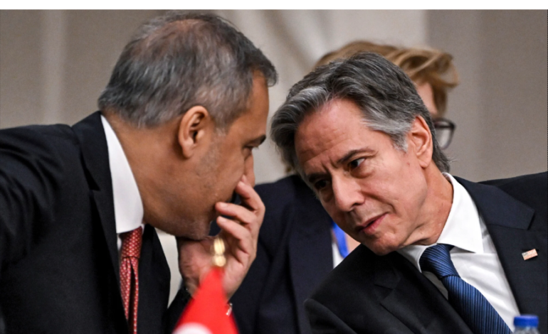 Egyptian, US top diplomats discuss developments in Gaza, Syria