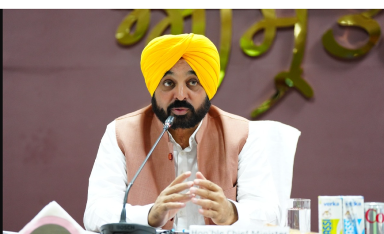 No one will be allowed to break communal harmony of Punjab: CM Mann on desecration of Ambedkar statue