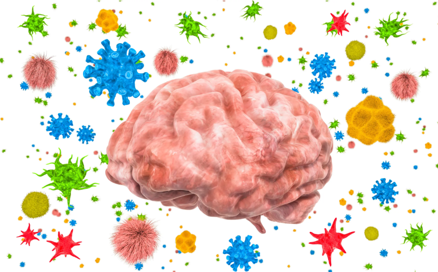 Harvard study links gut bacteria to depression: New insights into mental health and inflammation