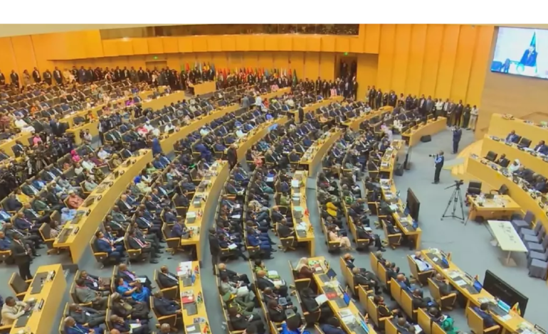 African Union Summit highlights reparations and elections