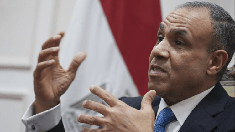 Egypt urges full implementation of Gaza ceasefire agreement