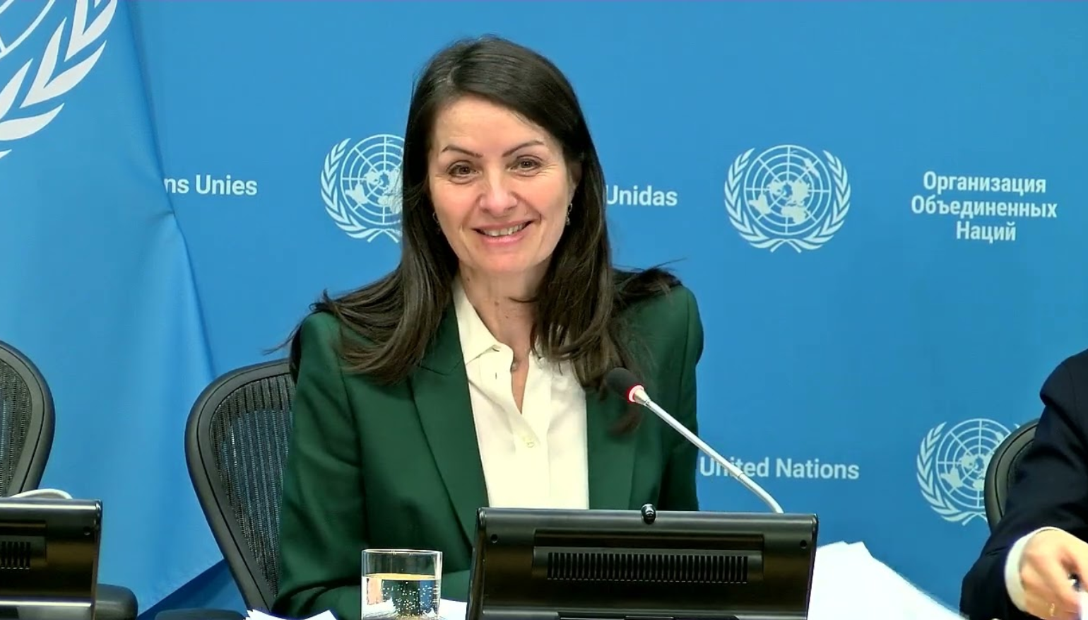 UNSC president hopeful for Ukraine breakthrough