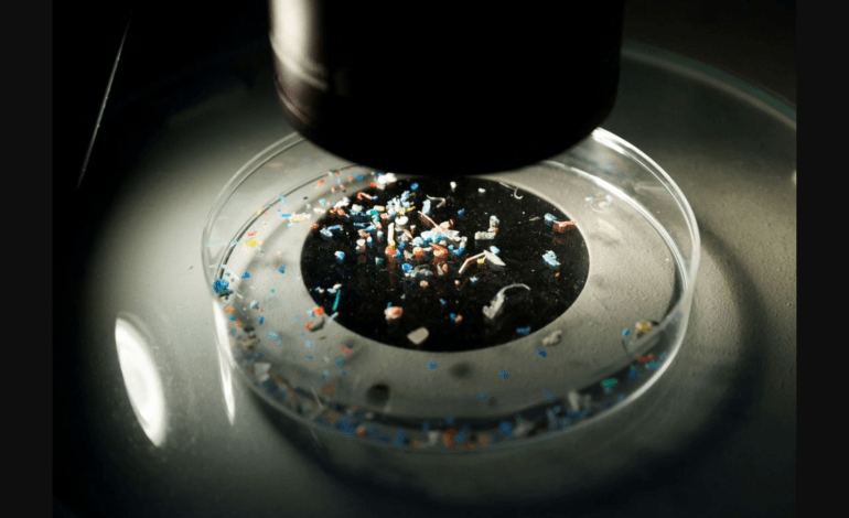 Doctors explore new technique to remove microplastics from human bloodstream