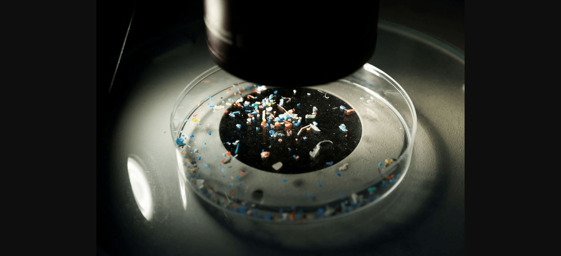 Doctors explore new technique to remove microplastics from human bloodstream