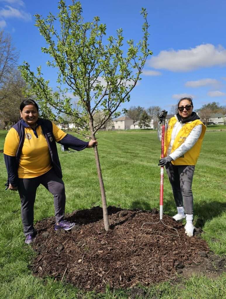 Roselle tree planting drive promotes sustainability