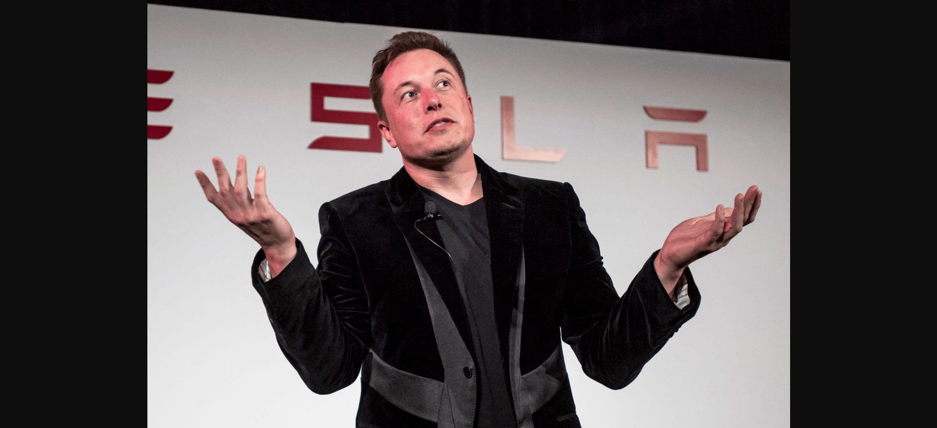 Tesla chair denies Elon Musk CEO replacement report