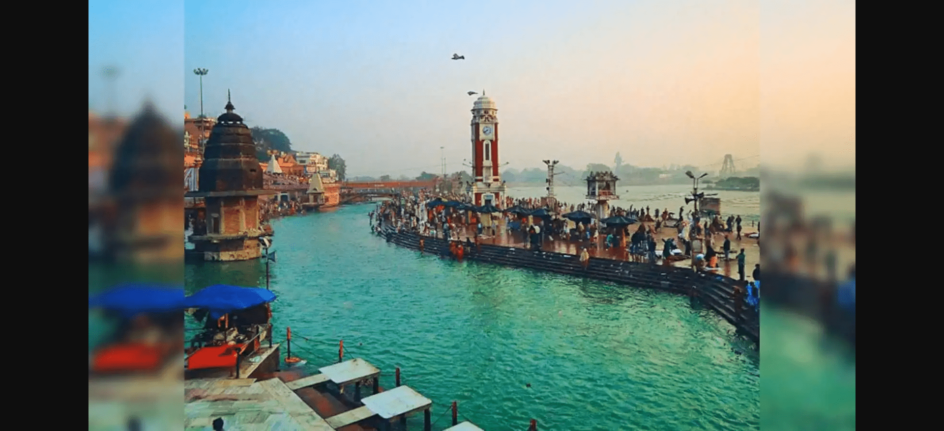 IndoUS Tribune की हरिद्वार मंदिर यात्रा का 13वाँ पड़ाव: बिल्केश्वर महादेव मंदिर – तपस्या, श्रद्धा और शिवत्व का पवित्र संगम