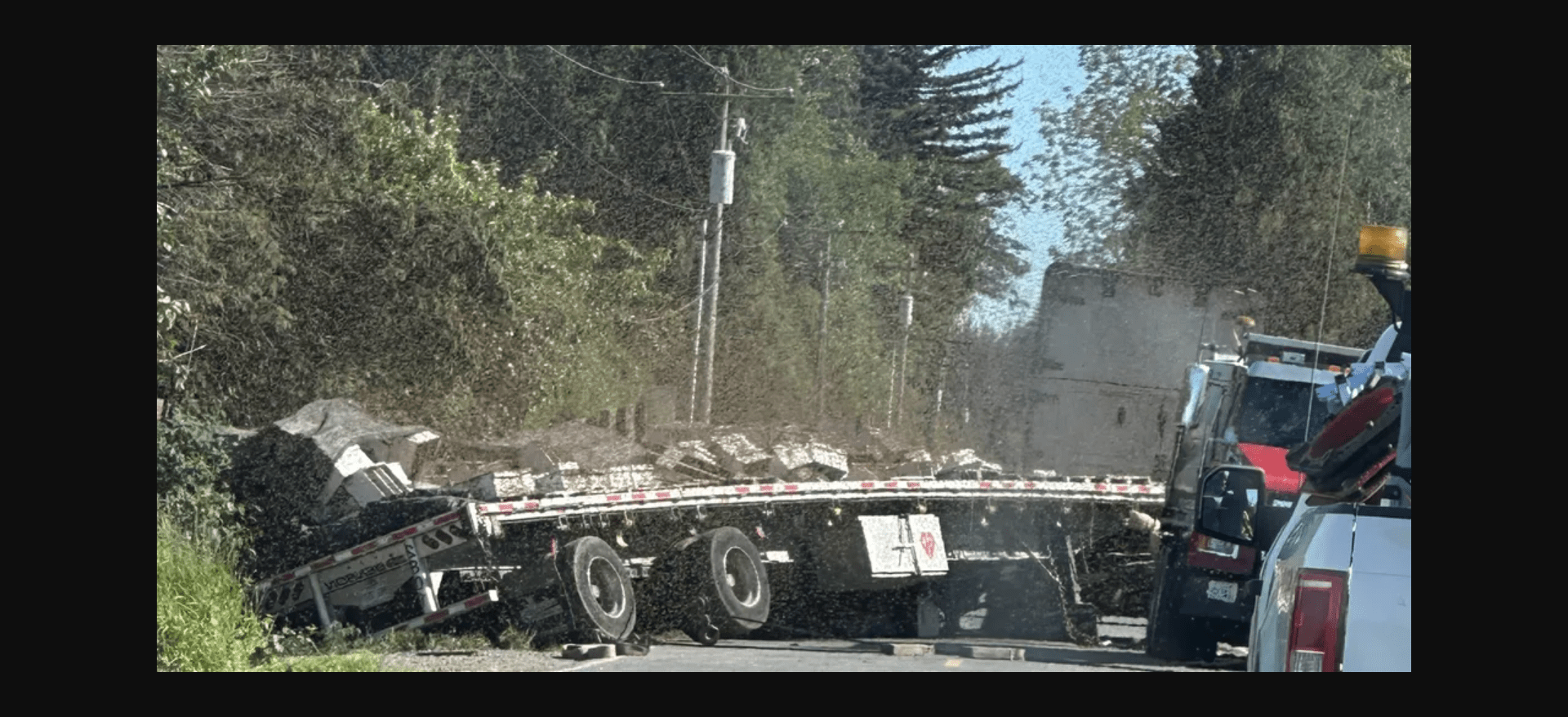 Truck crash unleashes 250 million bees in Washington state