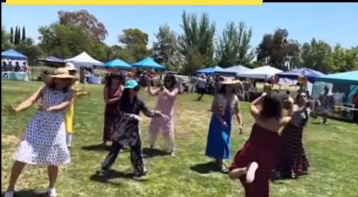 Texas honors Mahesh Navami and Maheshwari impact 