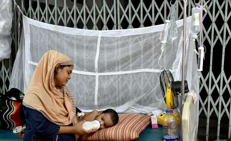 Dengue claims three more lives in Bangladesh, 2025 death toll rises to 73