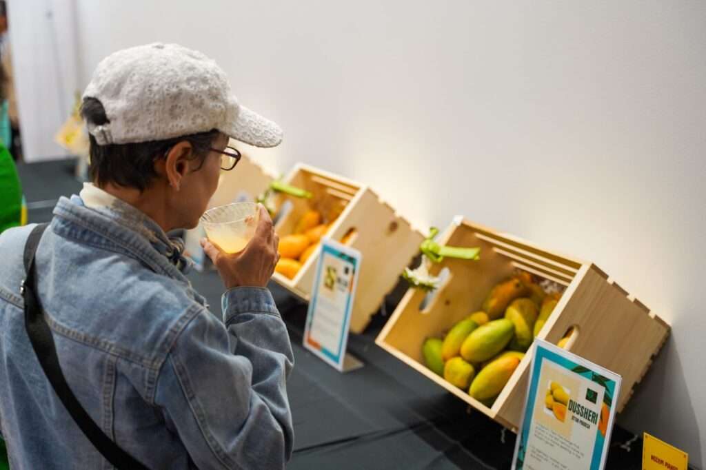 Indian mangoes shine in Seattle as U.S. exports grow 19% 