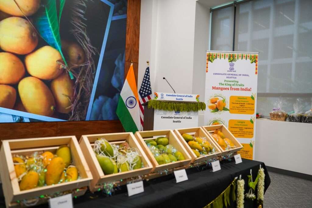 https://indoustribune.com/community-news/indian-mangoes-seattle-exports-grow-19-percent/