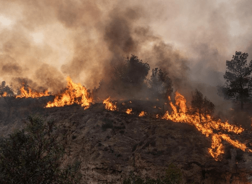 Serbia battles over 200 wildfires as heatwave sparks national emergency