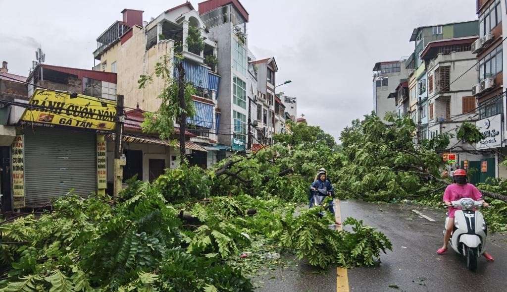 Death toll from Typhoon Kajiki in Vietnam rises to seven