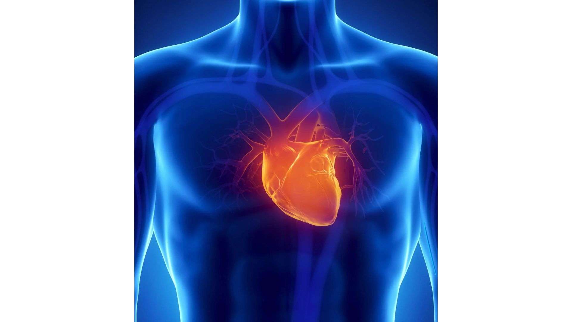 A supplement that reversed heart disease? Japanese study reveals stunning results in rare condition