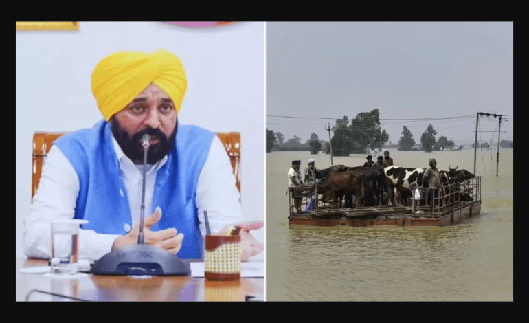Punjab CM Bhagwant Mann demands higher flood relief from Centre