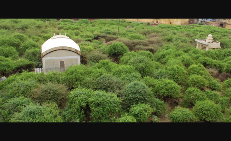 वृंदावन: तेरहवाँ पड़ाव – निधिवन मंदिर