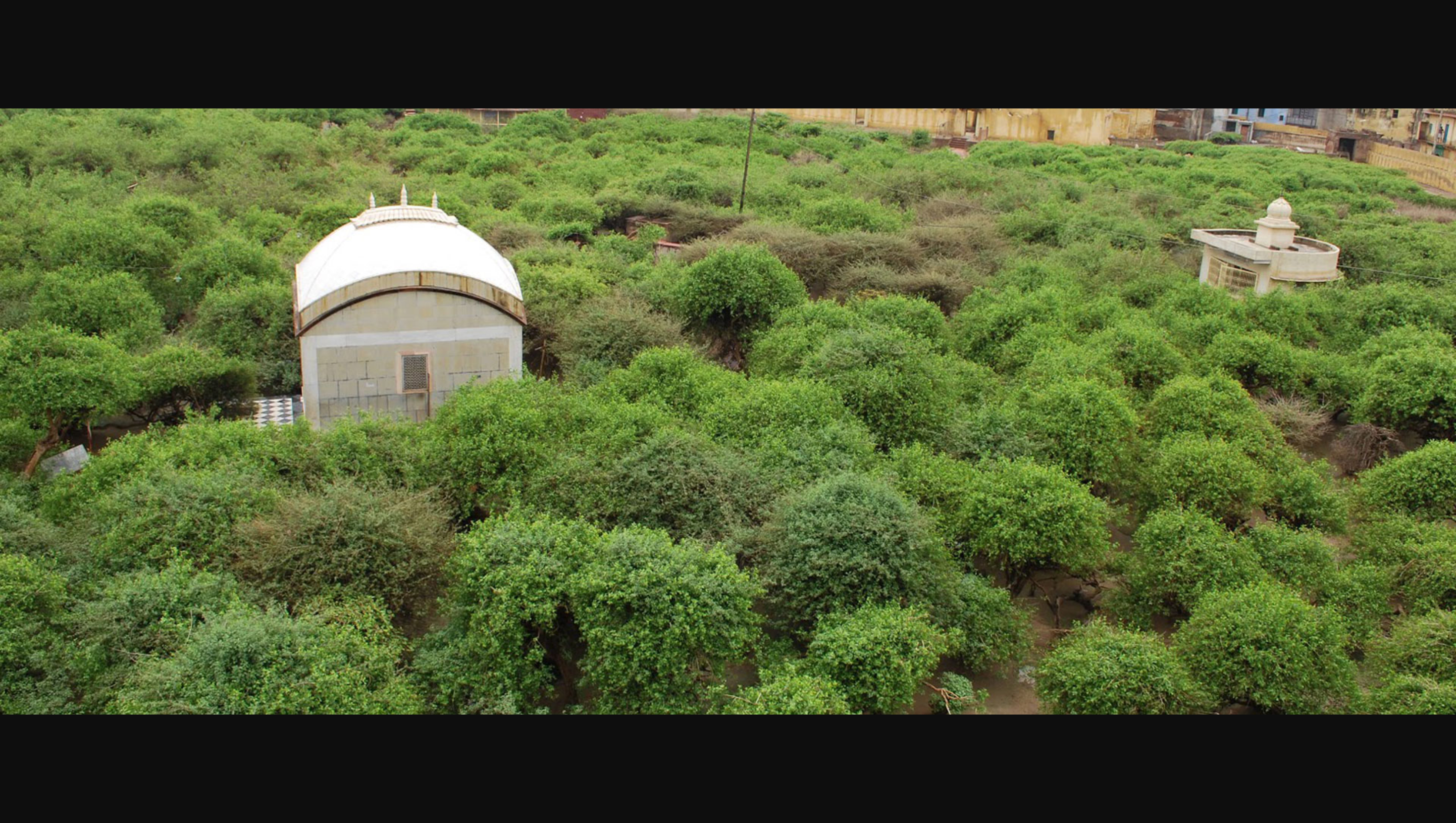 वृंदावन: तेरहवाँ पड़ाव – निधिवन मंदिर