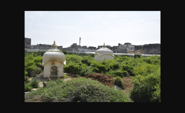वृंदावन: चौदहवाँ पड़ाव – सेवा कुंज