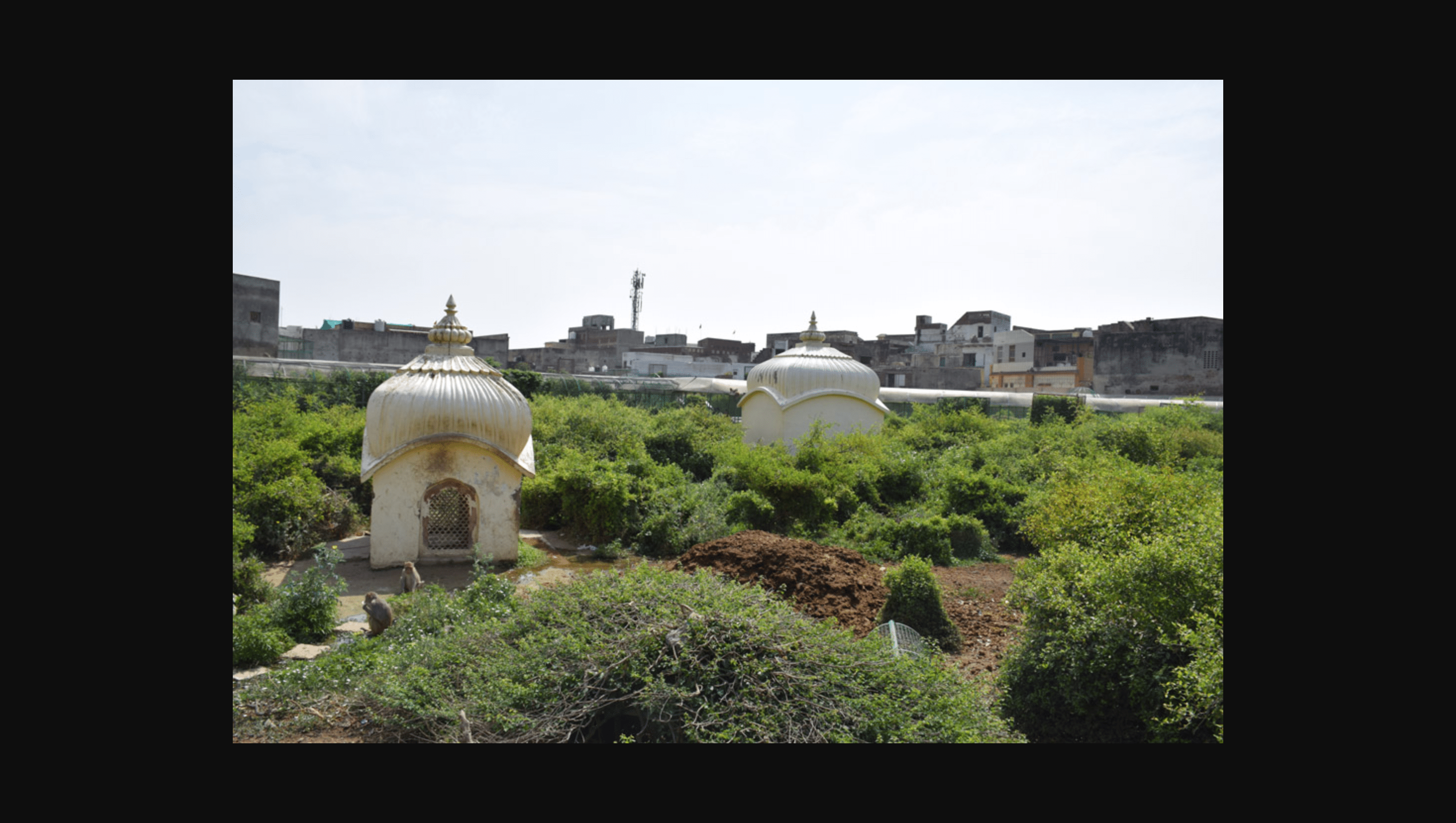 वृंदावन: चौदहवाँ पड़ाव – सेवा कुंज