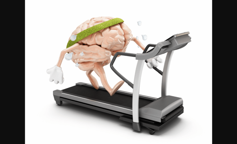 Mental exercise may reverse age-linked brain chemical decline, new study finds