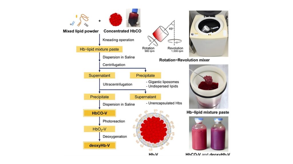 Universal Artificial Blood: Where Science Stands Today