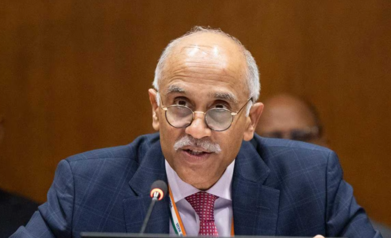 India warns against rise of ‘parallel’ platforms challenging UN authority